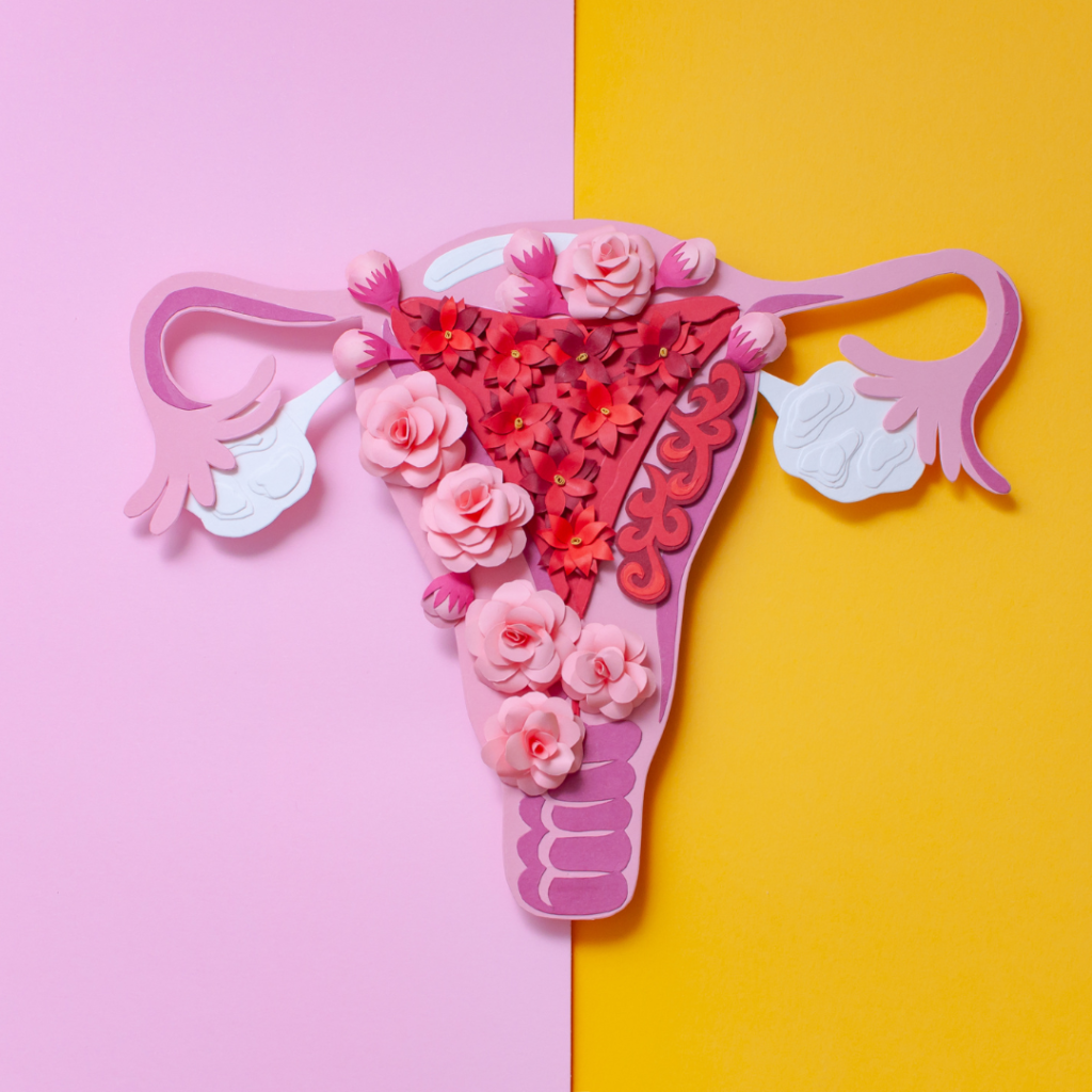 Gynecology
