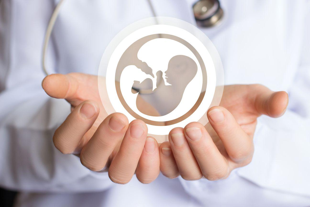 Obstetrics